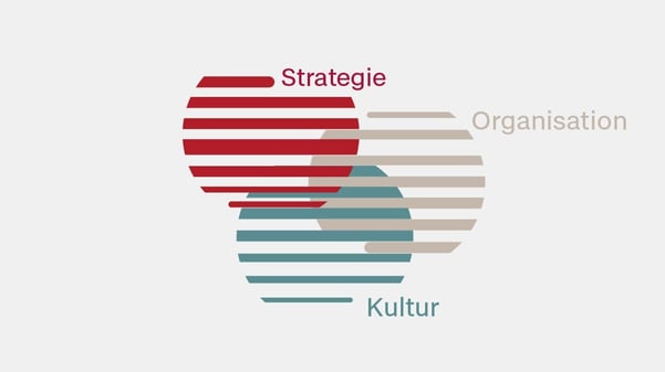 infografik-kompetenzfelder